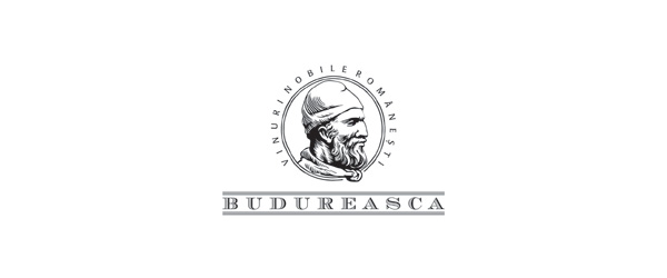 buduresca Logo buduresca